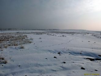 20120204_zwenkauer-see_dscf0263_