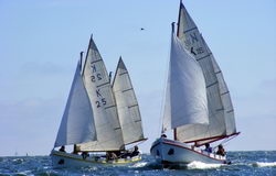 39. EXPOVITA Regatta • Video