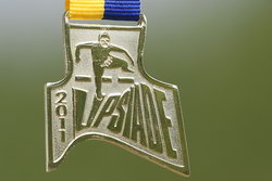 XVIII. Lipsiade 2011 – Ergebnisse