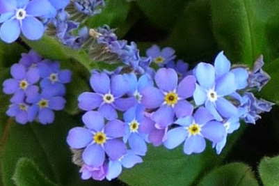 Mitgliederversammlung 2015