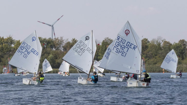 EXPOVITA 2019 • Ergebnisse