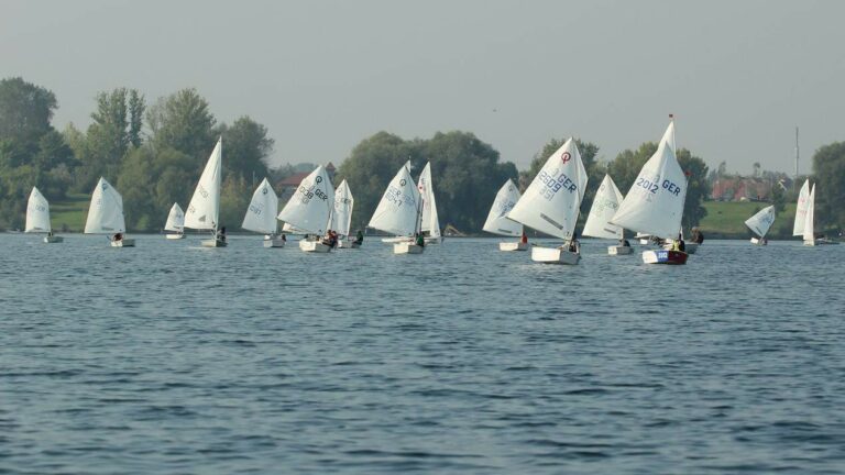 49. EXPOVITA 2022 • Ausschreibung