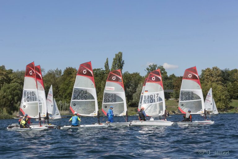 50. EXPOVITA 2023 • Ausschreibung