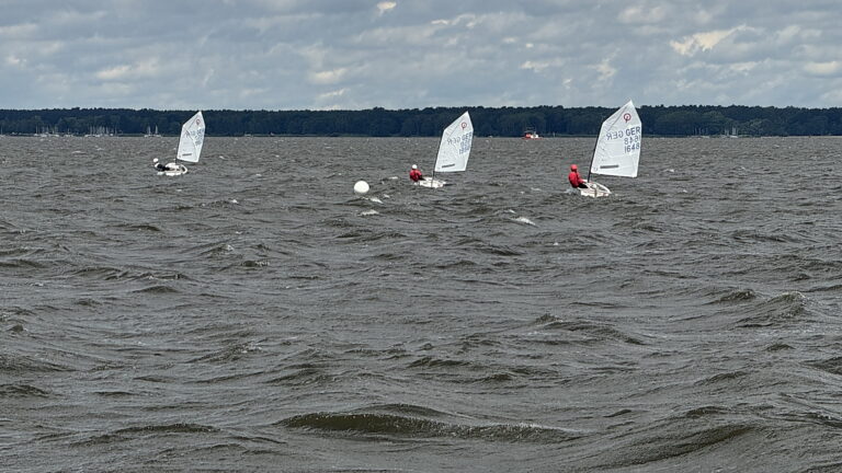 Goldener Steinhuder Optimist 2024